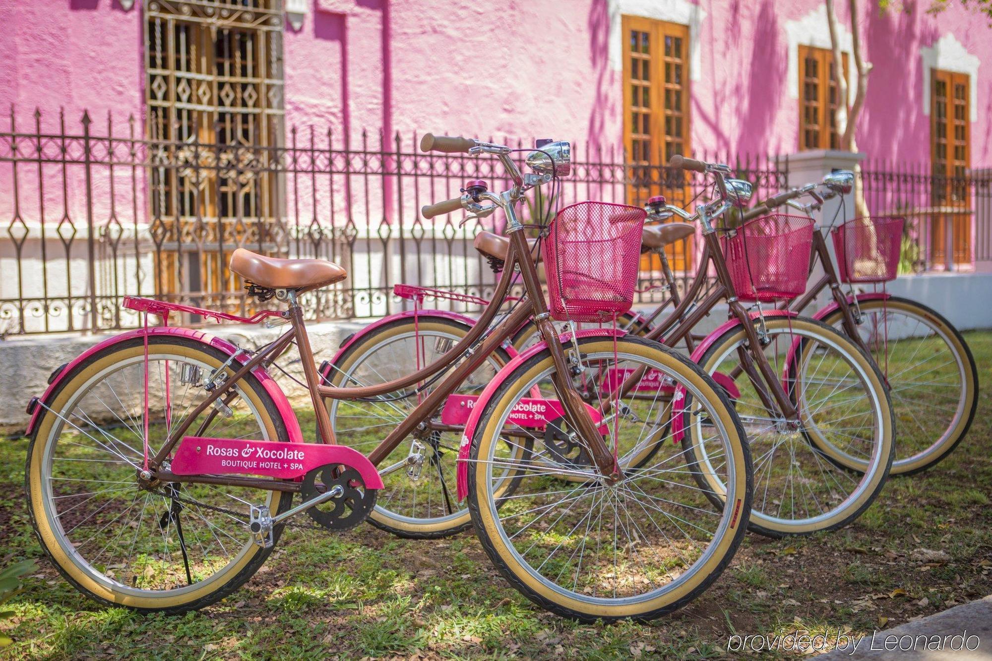 Rosas & Xocolate Boutique Hotel And Spa Merida, A Member Of Design Hotels المظهر الخارجي الصورة